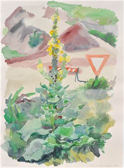 VERBASCO - Trude Saltuari-Oberegger