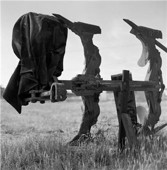 Observing - Galerie Wouter Van Leeuwen