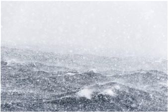 ONLINE: Océanique - Flatland Gallery