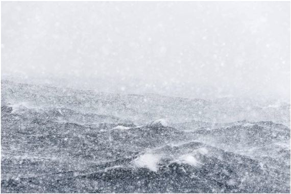 ONLINE: Océanique - Flatland Gallery