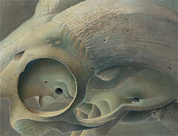 Untitled - Pablo Runyan