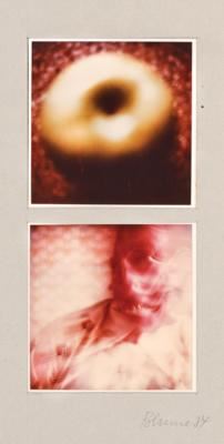 Anna and Bernhard Blume by Anna & Bernhard Blume, 1937-2011