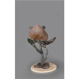 TURTLE - Octavio Gonzalez Gutierrez