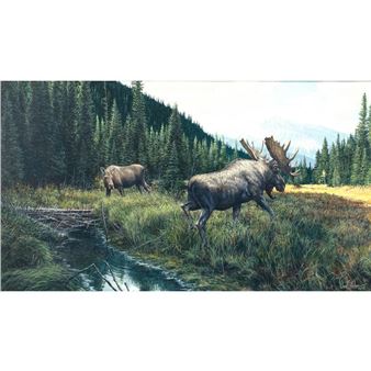 TWO MOOSE - Ron Van Gilder