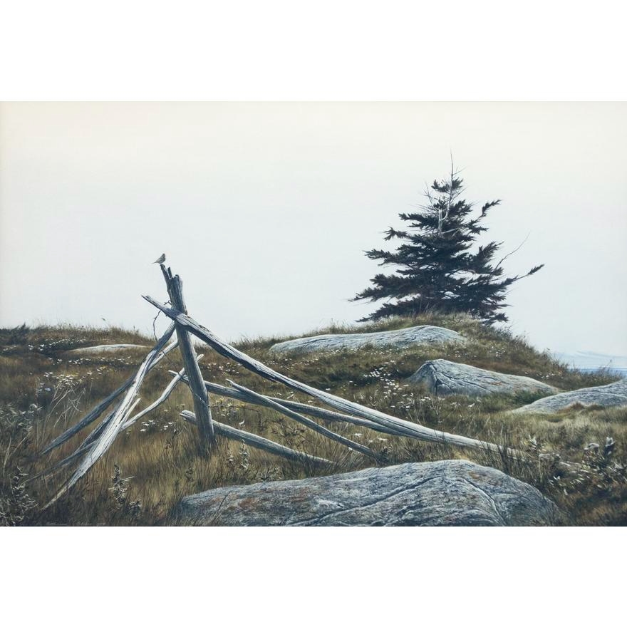 Robert Verity Clem | SAVANNAH SPARROW (1974) | MutualArt