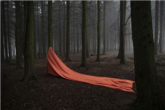 Photography at India Art Fair