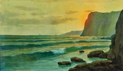 The coast in Capri by Michele Federico