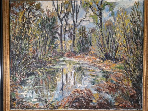 rivière dans sous bois