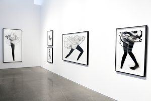 Cathy Daley: Gestures - Newzones Gallery of Contemporary Art