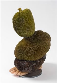 Nathan Beard Wins Darebin Art Prize 2024