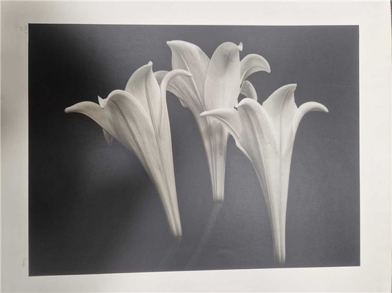 Bruce Rae | Bruce Rae (1946 | MutualArt