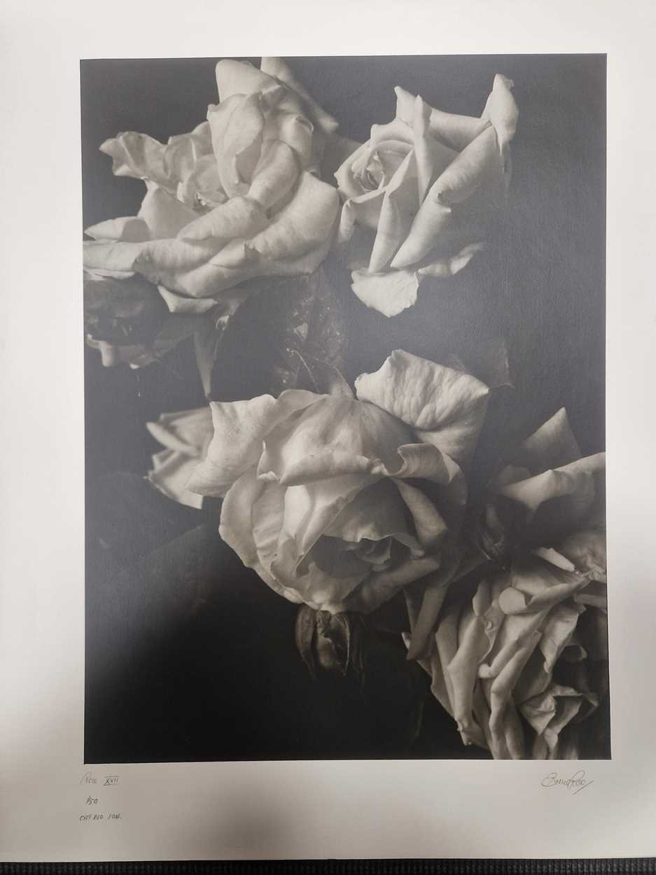 Bruce Rae | Bruce Rae (1946 | MutualArt