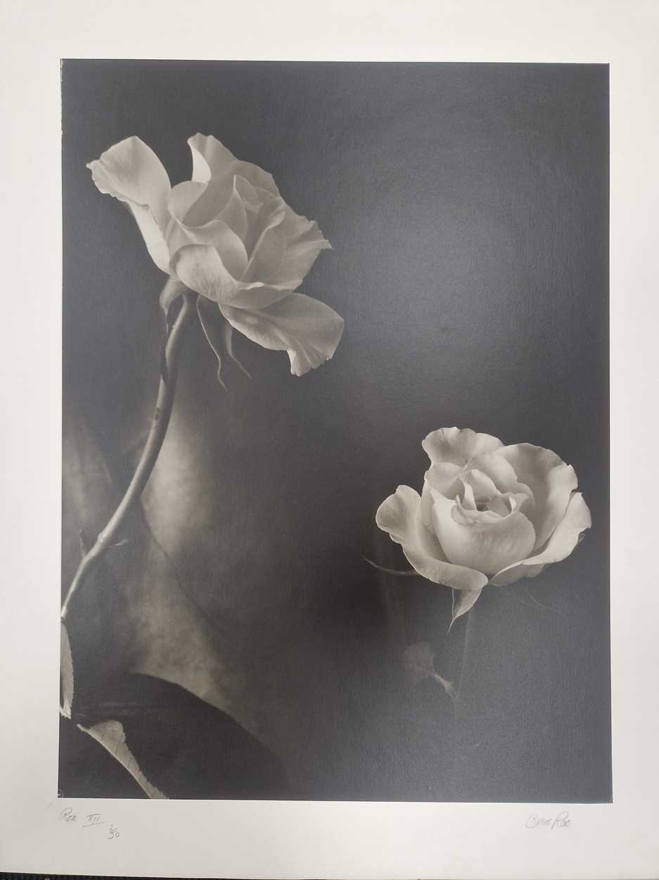 Bruce Rae | Bruce Rae (1946 | MutualArt