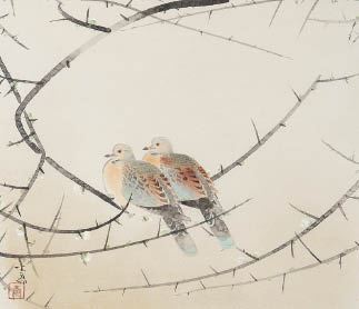 Dove by Seison Maeda