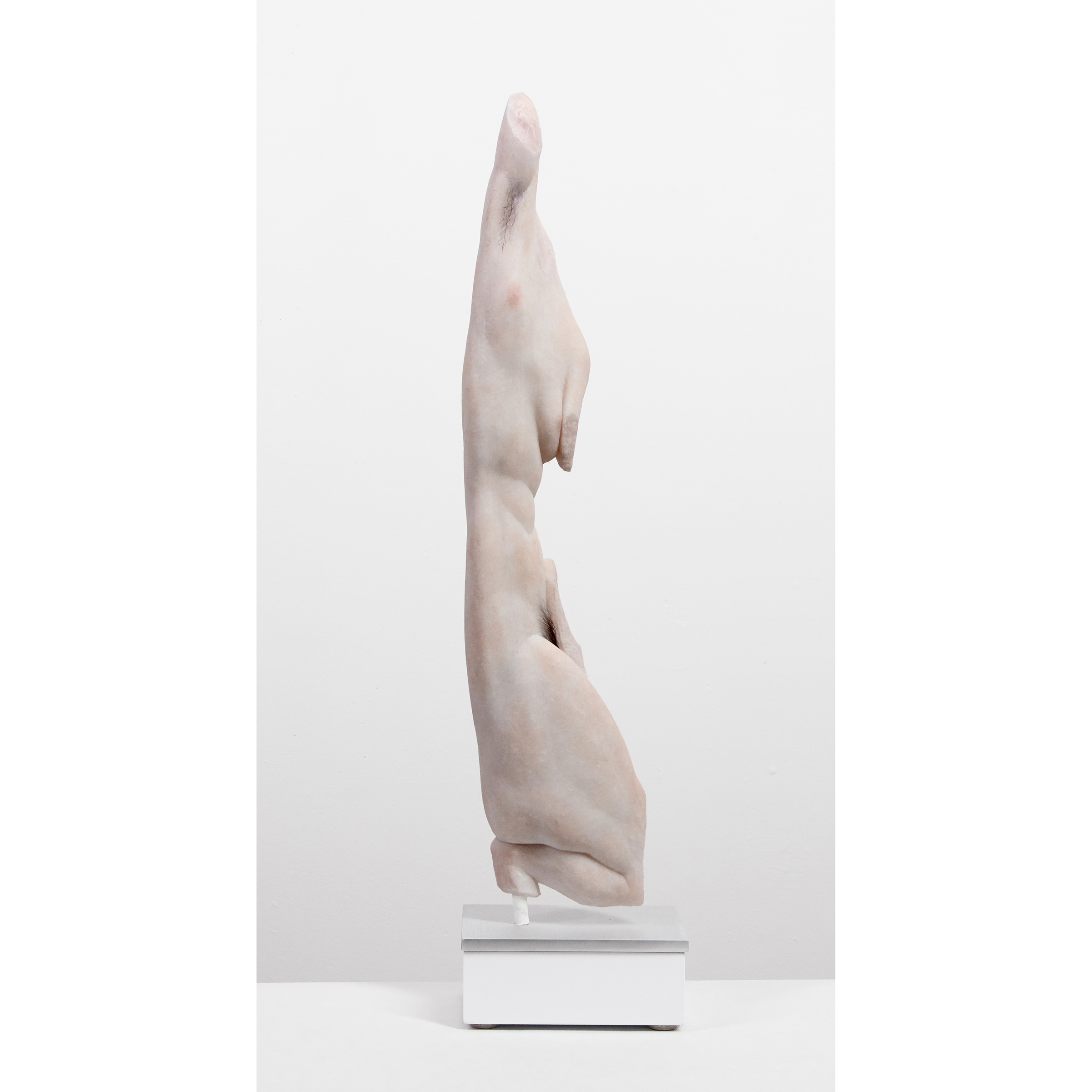 FEMALE TORSO—MODEL (AFTER CROUCHING VENUS, METROPOLITAN MUSEUM OF ART, NYC), 2016 - Evan Penny