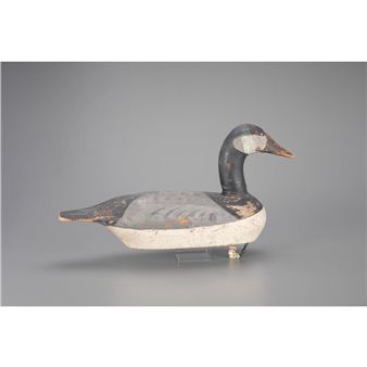 RARE CANADA GOOSE - August Moak