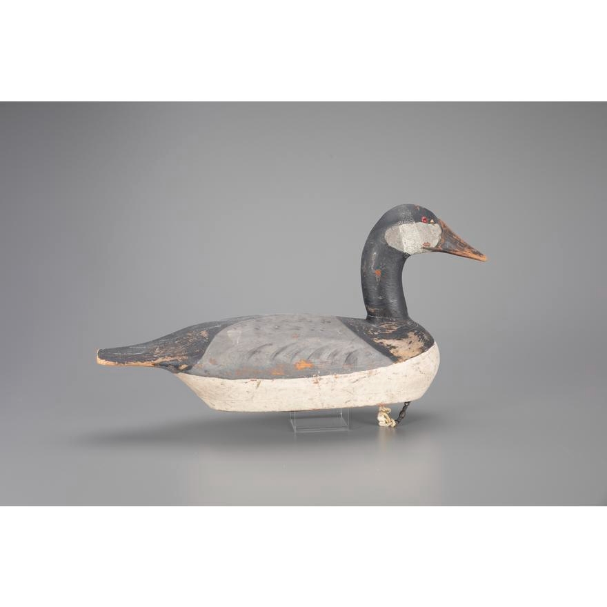 Artwork by August Moak, RARE CANADA GOOSE