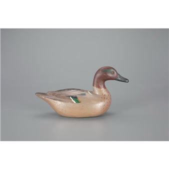 EXCEEDINGLY RARE GREEN-WINGED TEAL - Fresh Air Dick