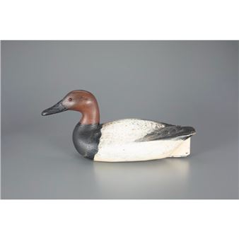 CANVASBACK DRAKE - Fresh Air Dick
