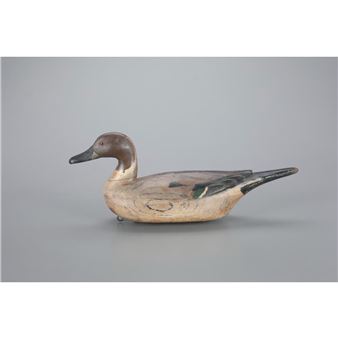 PINTAIL DRAKE - Fresh Air Dick