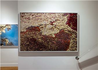 Diane Tuft: Entropy - Leila Heller Gallery, New York
