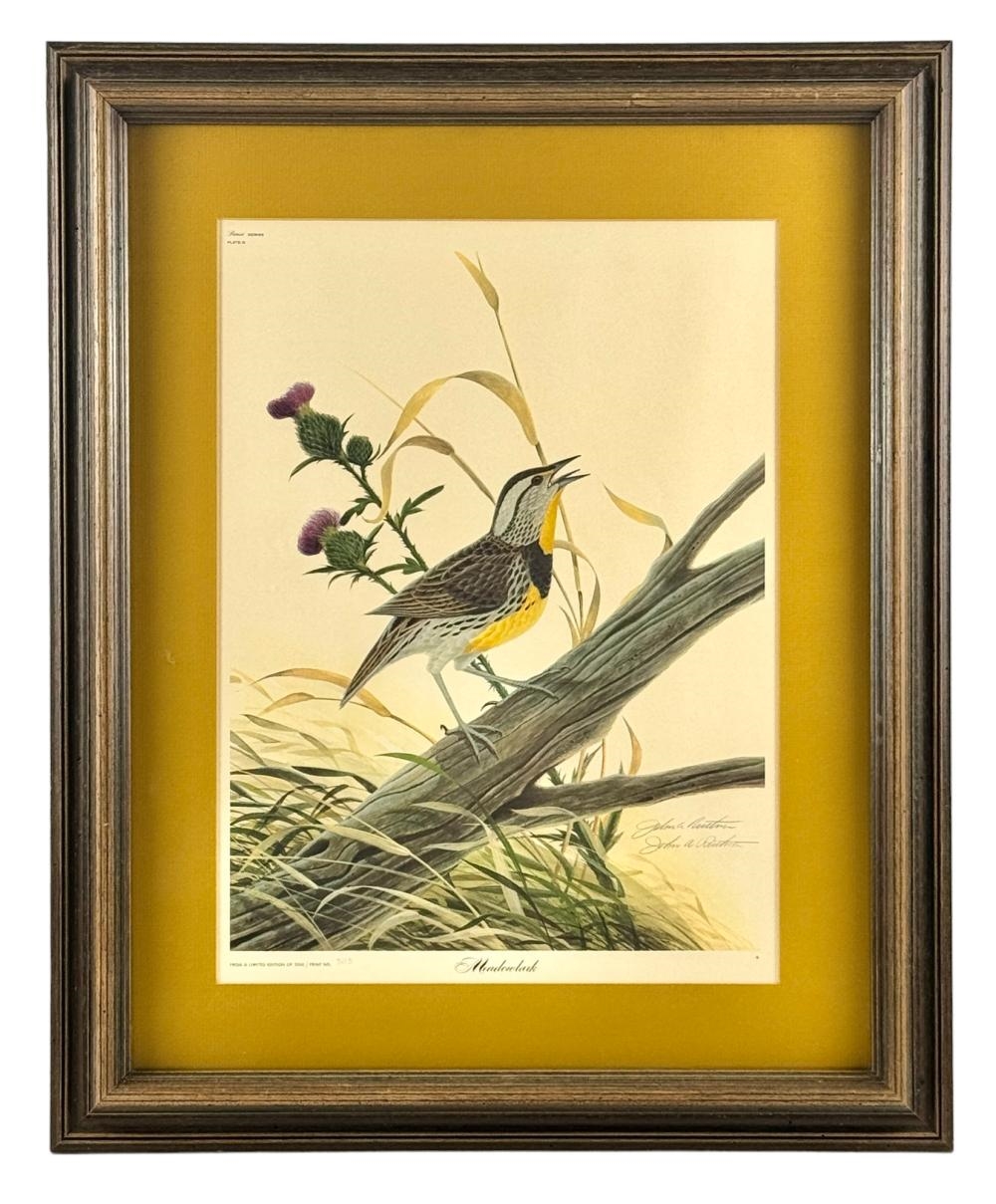 John Ruthven | Meadowlark Offset Lithograph by John Ruthven | MutualArt