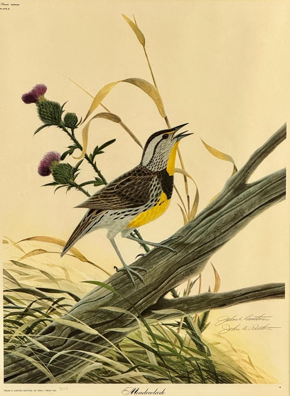 John Ruthven | Meadowlark Offset Lithograph by John Ruthven | MutualArt