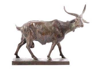 Capretta - Nino Geraci