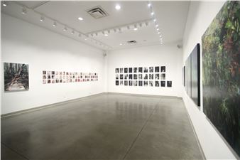 Understory - Seymour Art Gallery