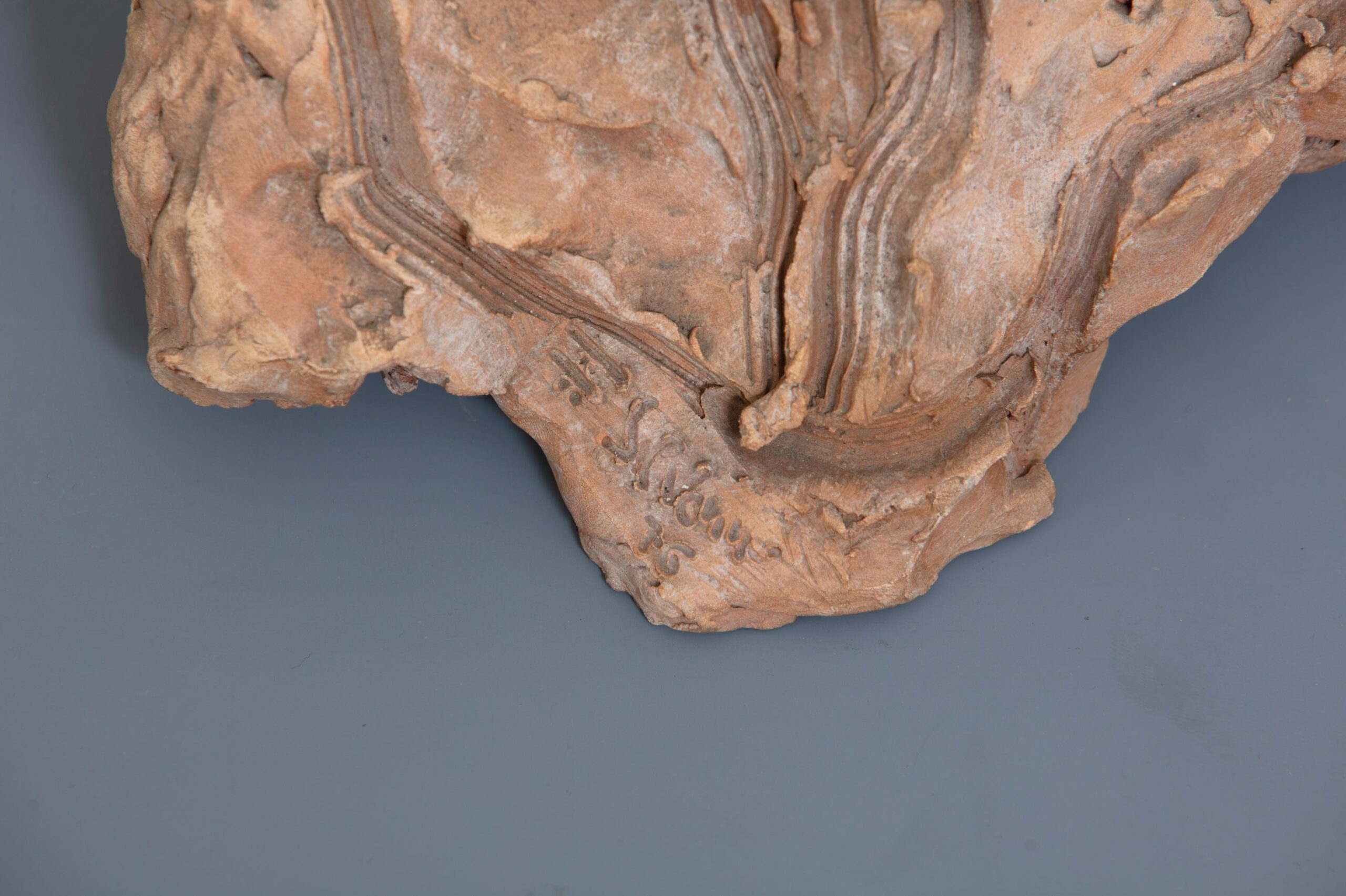 Artwork by Federico Severino, Senza titolo