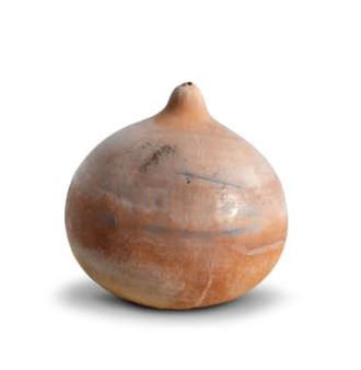 Ngomi II - Agnes Waruguru