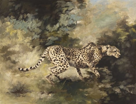 Cheetah - Leigh Voigt