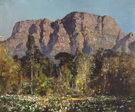 Robert Gwelo Goodman | Pageant of Spring, Newlands | MutualArt