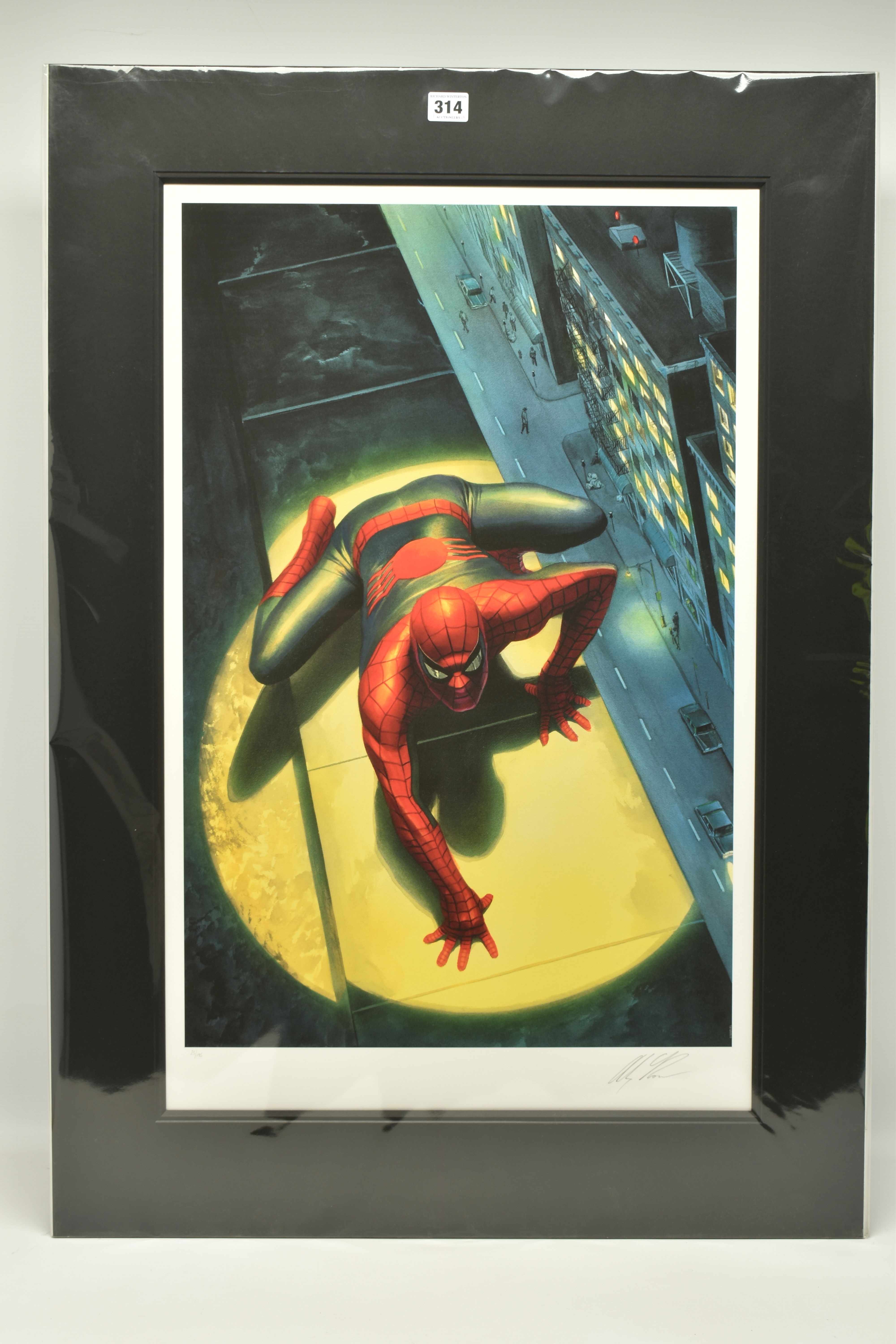 THE SPECTACULAR SPIDERMAN by Alex Ross