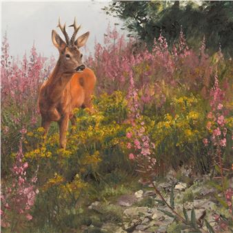 REHBOCK IN BLÜHENDER WIESE AM WALDESRAND - Friedrich Reimann