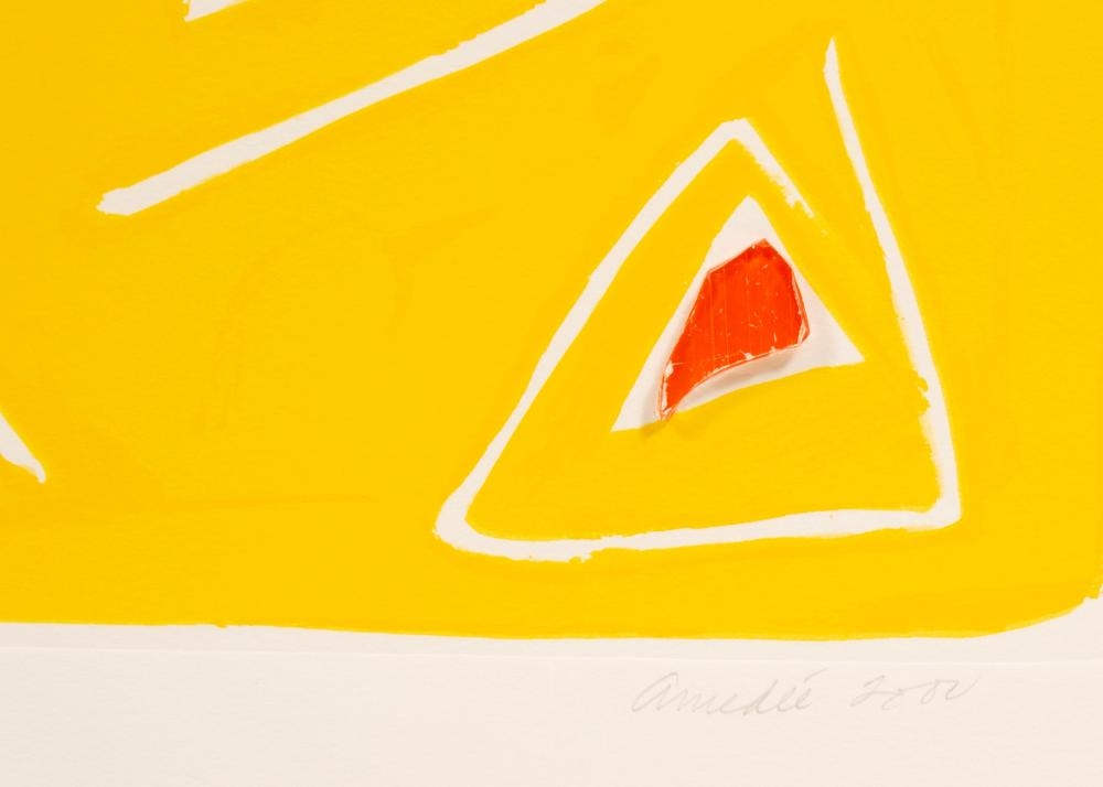 Artwork by Wayne Amedee, Bright Shards of the Future, Made of glass and silkscreen on paper, pencil