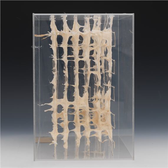 Louise Pierucci Holman | Threaded Box Grid IV (1980) | MutualArt