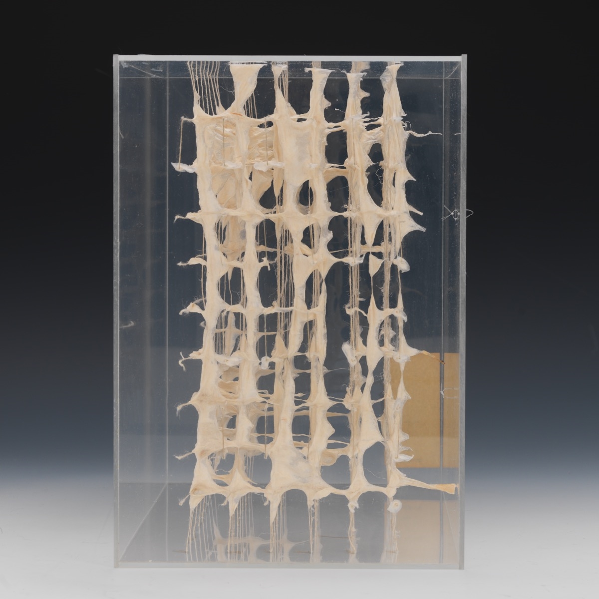 Louise Pierucci Holman | Threaded Box Grid IV (1980) | MutualArt