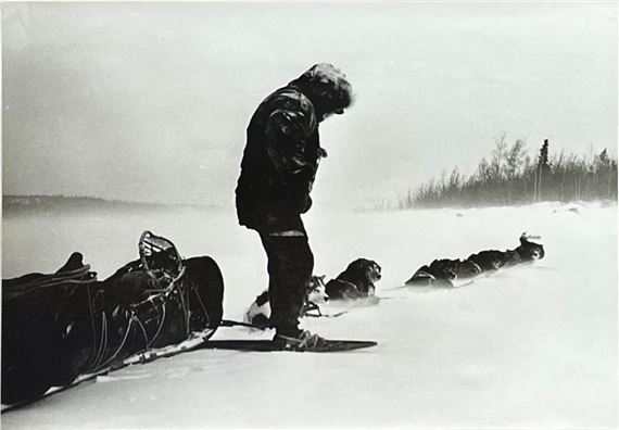 Untitled (Sled Dogs) - Henry Busse