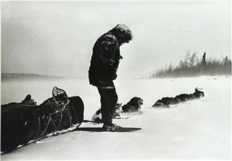 Untitled (Sled Dogs) - Henry Busse