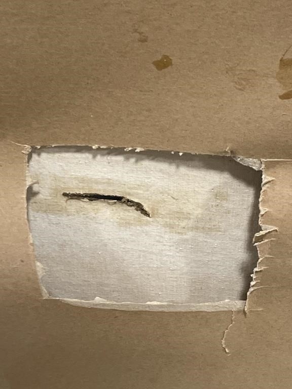 Artwork by Rose Varela, RK) Rose Varela Oil Painting on Canvas *Damaged, Made of Oil Painting on Canvas