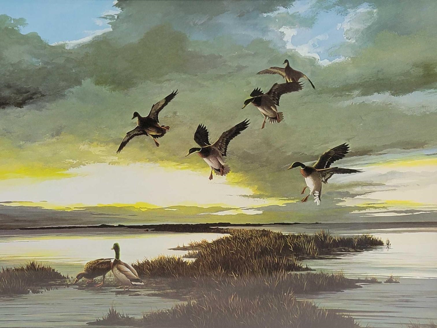 Anthony J. Rudisill | Waterfowl | MutualArt