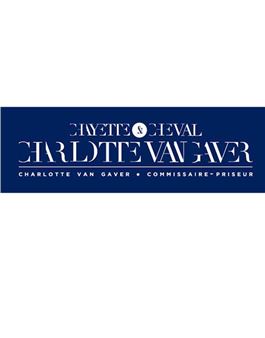 Le parc Dessin à l'encre - Adam Saulnier