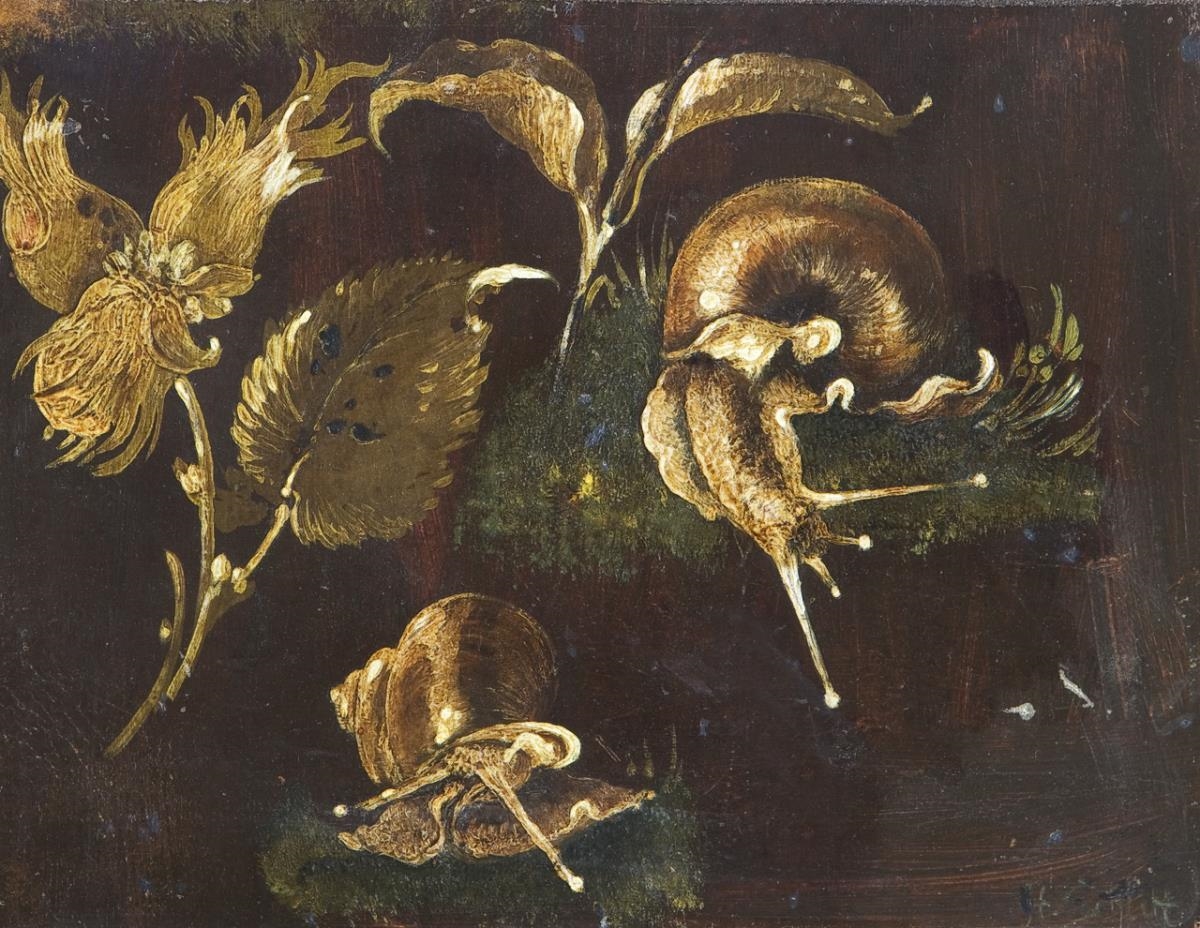 Snails among leaves on moss - Heinrich Schlitt