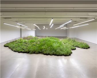 Perth Festival 2024 | Performance, Music, Film, Visual Arts, Literary Events