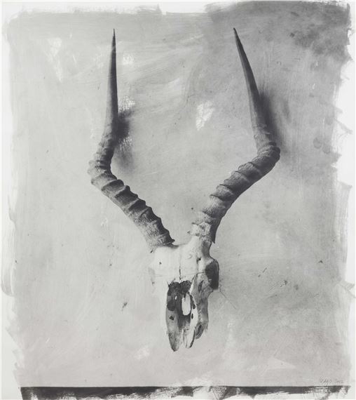 Horns II by Stephen Inggs, 2002
