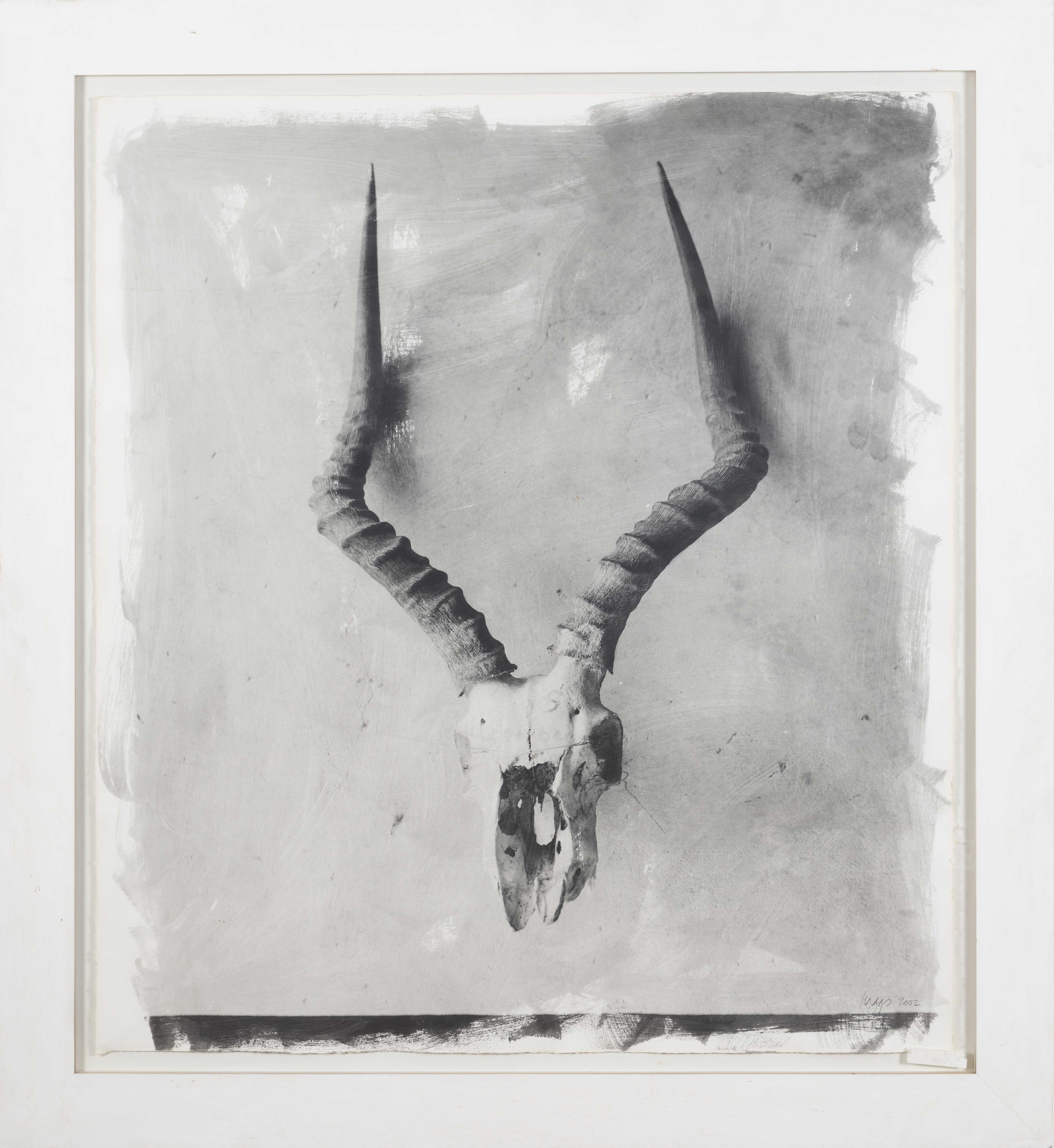 Artwork by Stephen Inggs, Horns II, Made of hand painted silver gelatin