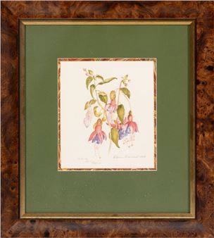 Fuschias - Elaine Diamond