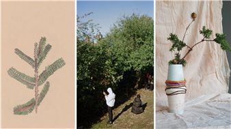 Edge Effects - Whitechapel Art Gallery