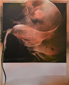 Vicenç Viaplana: New Paintings - Galeria Marc Domenech